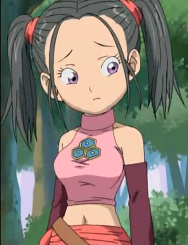 Fitxer:Bouquet TNSR.png