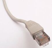 250px-Ethernet RJ45 connector p1160054