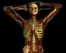 100musculoskeletal