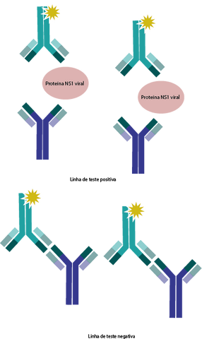 Arquivo:Imunocromatografia.png