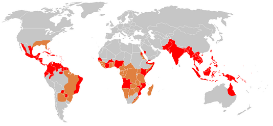 Dengue.png