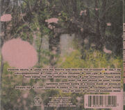 Bmsr dg back