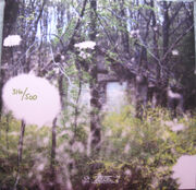 Bmsr dg vinyl back