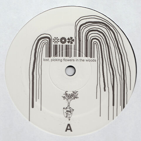 File:Bmsr lpfitw vinyl.jpg