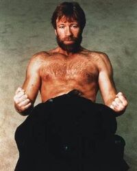 Chuck norris 4