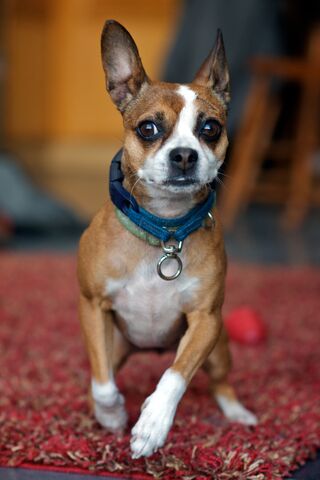 File:Maeby10.jpg