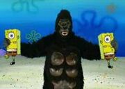 300px-Gorilla.jpg