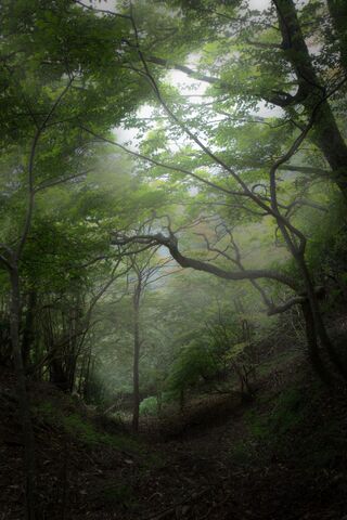 File:Tumblr nrxvusyDSq1tx7szbo1 1280.jpg