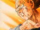 Despedida Vegeta.jpg