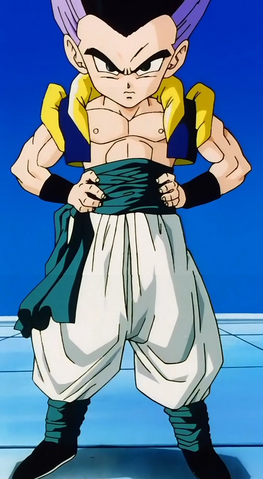 Fitxer:Gotrunks.png