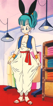 Bulma robanova.png