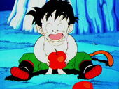 Gohan pomes.jpg
