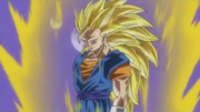 SG3 Vegeku.png