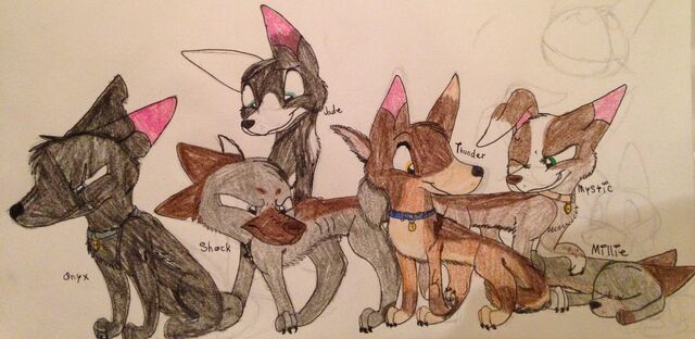 File:Fav OCs.jpeg