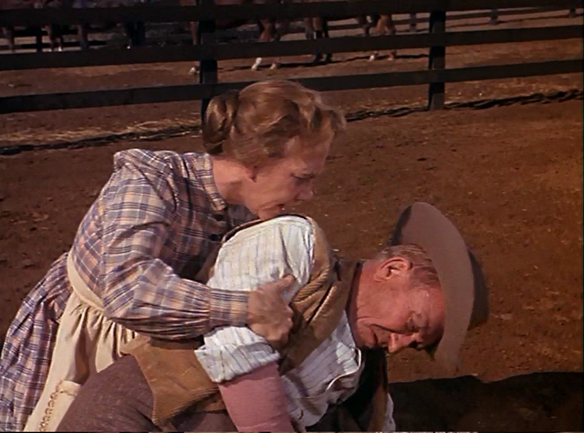 File:024 - The Hayburner.png