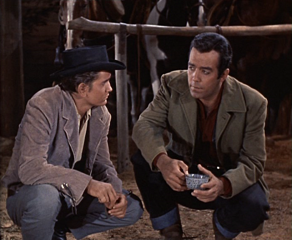 File:THP2.png