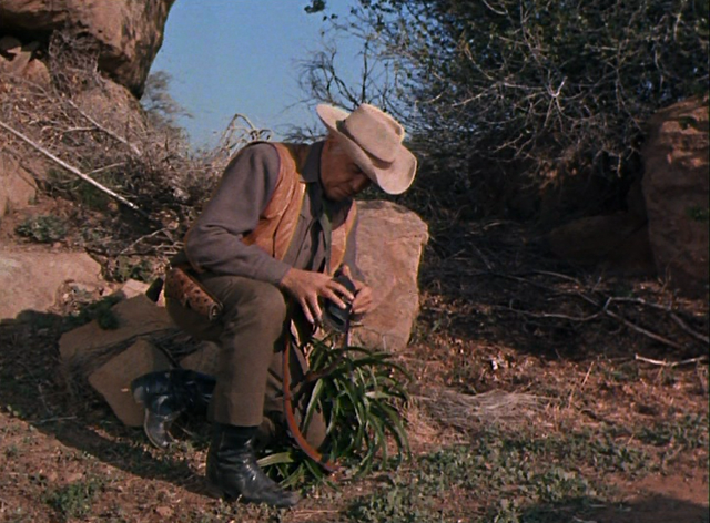 File:070 - The Crucible.png