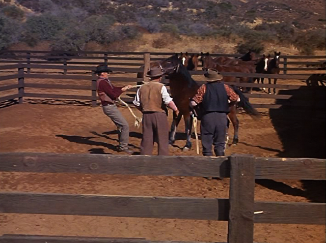 File:020 - The Hayburner.png