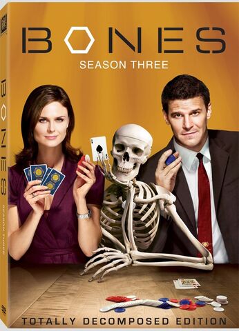Файл:Bonesseason3r1artpic.jpg