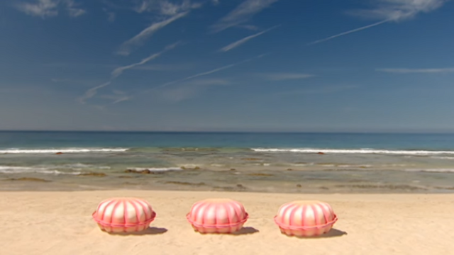 File:002 Pearly Shells.png