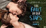 Fault-in-our-stars-poster-large