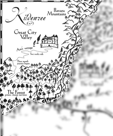 File:Kildenree.jpg