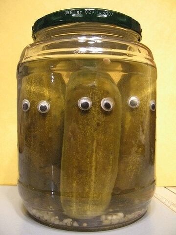 File:Pickles ina jar.jpg