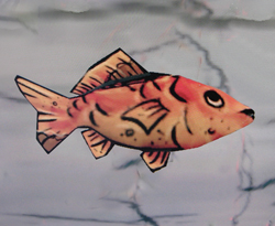 C'fish