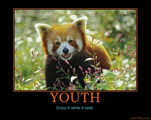 File:Youth.jpg