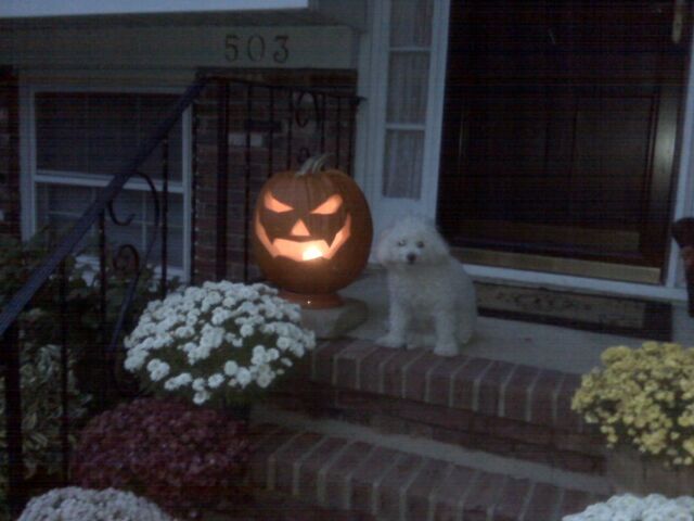 File:Borderlands JackoLantern-030.jpg