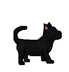 File:Blackstorm-app.png