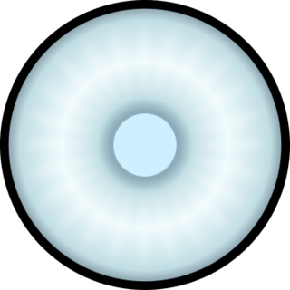 File:Boruto's Dojutsu.png