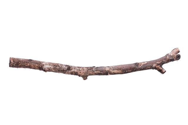 File:Stick.jpg
