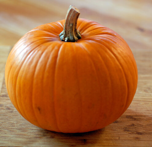 File:Pumpkin.jpg