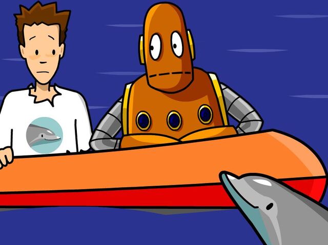 File:Dolphins.jpg