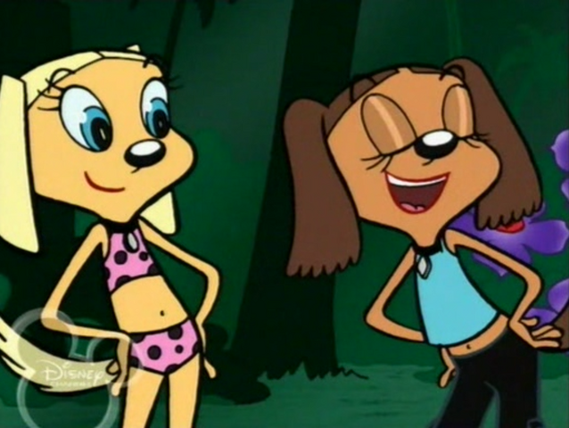 File:Ss339.png