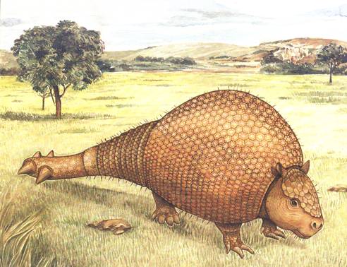 Arquivo:Gliptodonte.jpg