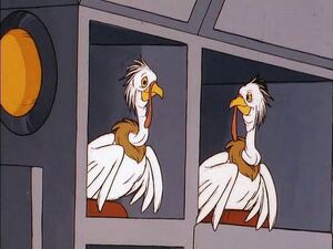 Astro-Chicks