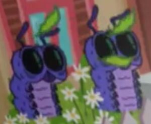 Caterpillar Twins