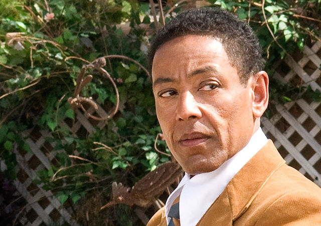File:Episode-8-gus-fring.jpg