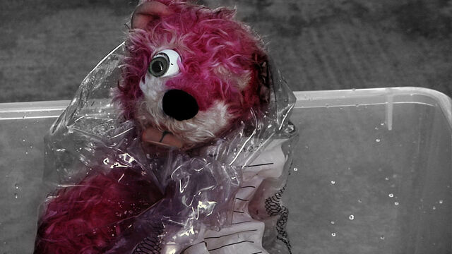 File:PinkBear.jpg