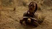 2x7 Tortuga 2.png