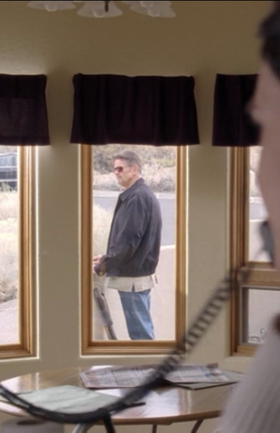 File:DEA Agent - Felina.png