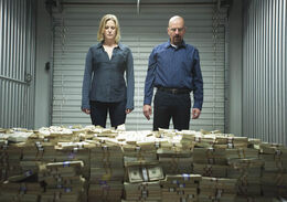 LJ-episode-8-skyler-walt-23578-394857
