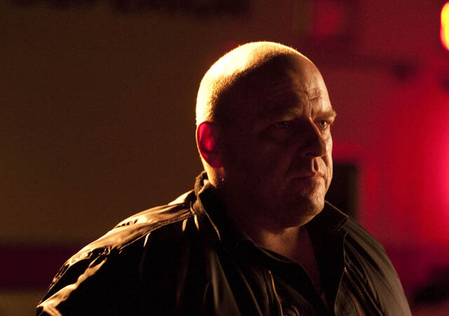 File:Episode-7-Hank-2-760.jpg