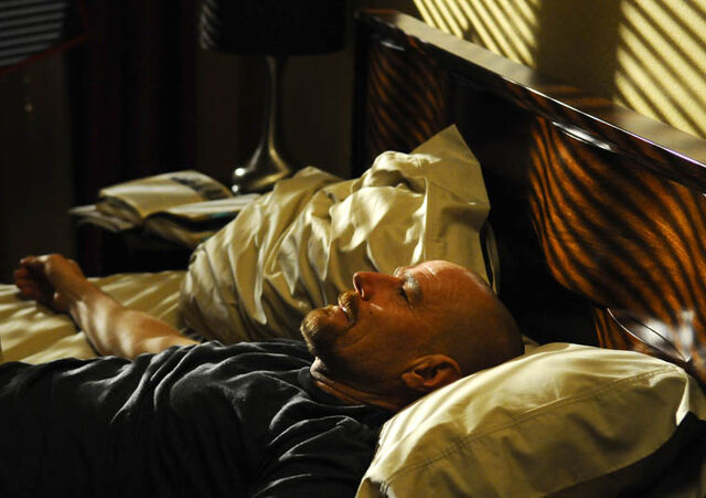File:Episode-10-Walt-5-760.jpg