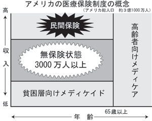 ファイル:医療保険.gif