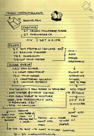 File:LabNotes2.jpg
