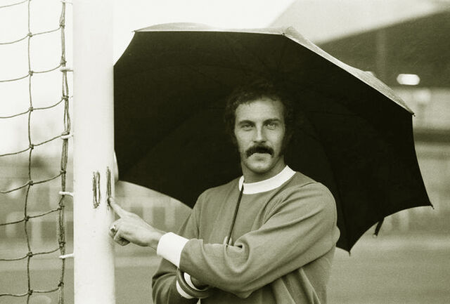File:Robin stubs.jpg