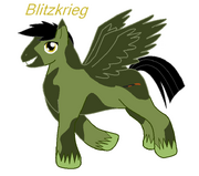Blitzkrieg by firetern-d49vkbh